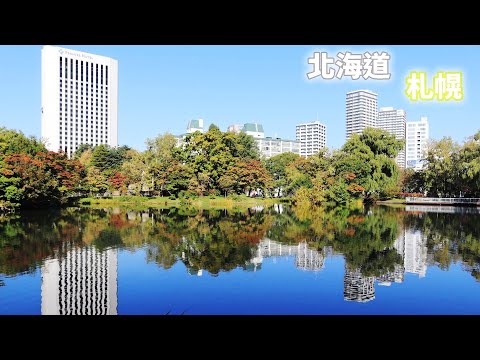 日本北海道 札幌 中島公園 城市的綠洲 大通公園電視塔夜景