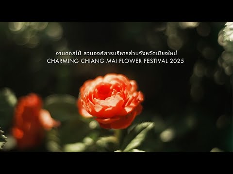 งานดอกไม้ สวนองค์การบริหารส่วนจังหวัดเชียงใหม่ (สวน อบจ) พาแม่เที่ยว Chiang Mai Flower Festival 2025