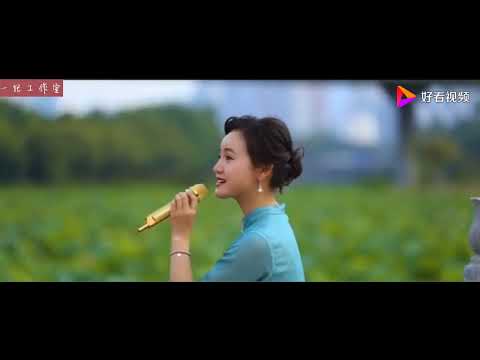 陈小萍【浪漫夕阳】原版MV