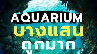 One free day : เที่ยวสถาบันวิทยาศาสตร์ทางทะเลมหาวิทยาลัยบูรพา บางแสน (Bangsaen Aquarium)