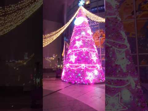 Merry Christmas 2024 New Taipie City Taiwan