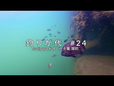 #24 千葉の堤防でのんびり団子釣り、｜釣り 水中映像｜in 千葉県｜4K動画