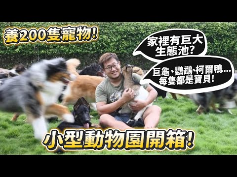 養200多隻寵物?小型動物園開箱!家裡有巨大生態池?【許伯簡芝】【動物開箱】【從零開始養】德爺!巨龜、鸚鵡、柯爾鴨...