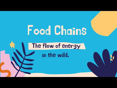 Food Chains #Producers #Scavengers #Decomposers