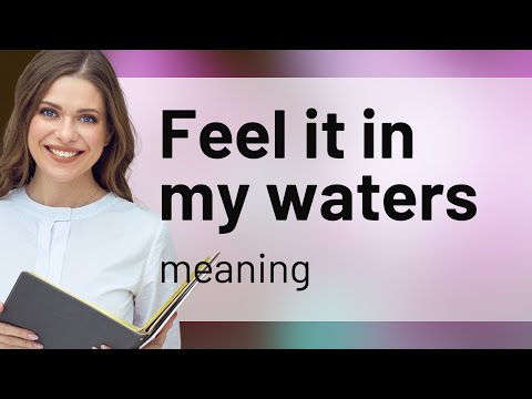 Unraveling Intuition: "Feel it in my Waters"