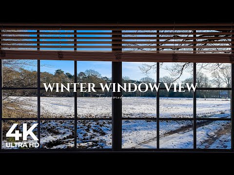 4K Winter Forest and field window View - Relaxing, Calming, Ambience