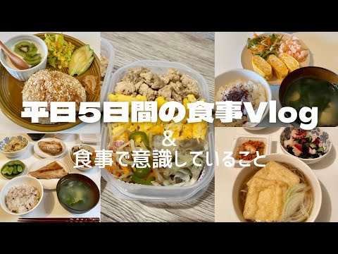 【Vlog】平日5日間の食事と意識していること　wellnesslife｜食事｜健康