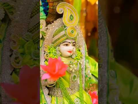 Radha Rani🙏 #radheradhe #radhakrishna #vrindavan #shorts #youtube #video #bhajan