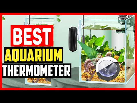 ✅The 5 Best Aquarium Thermometers of 2023