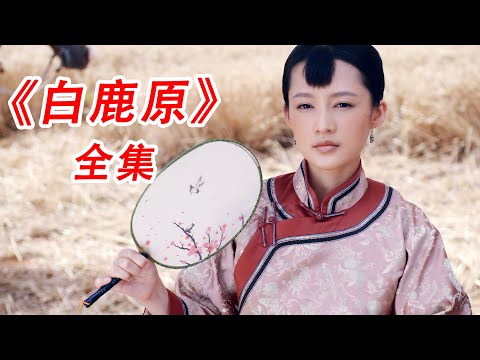 一口气看完，《白鹿原》#电视剧#解说#白鹿原