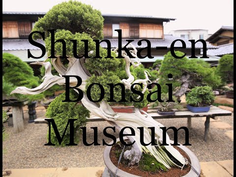 Shunka-en Bonsai Museum, by Kunio Kobayashi (Part 2)