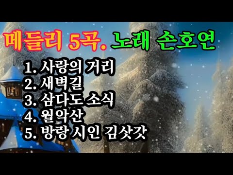 메들리 5곡 - 노래 손호연