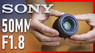 Everyone needs this lens | Sony 50mm f/1.8 (SEL50F18F)