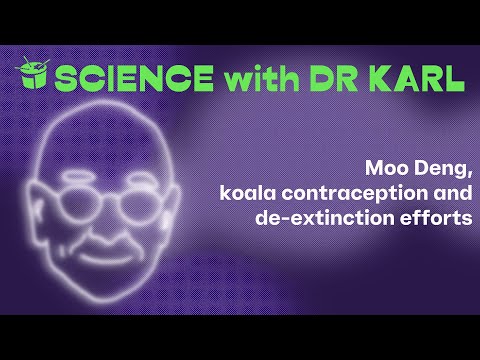 Moo Deng, koala contraception and de-extinction efforts