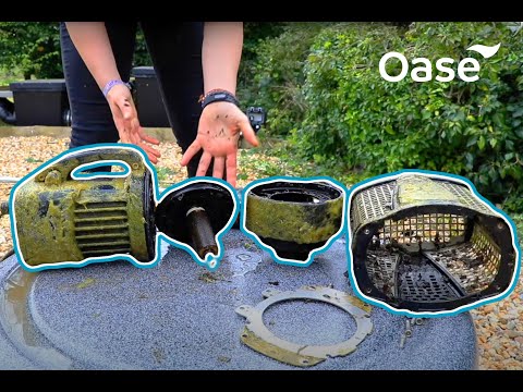 How to clean an OASE AquaMax Eco Expert Pond Pump – OASE TV