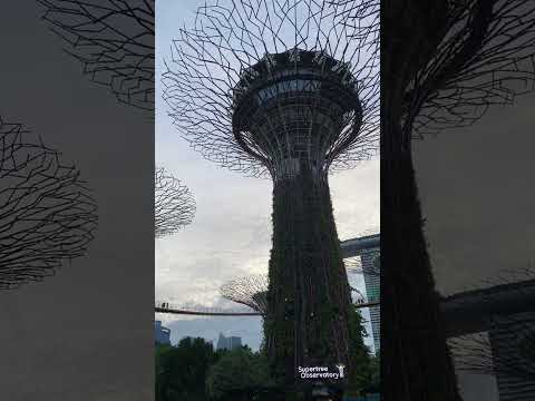 Garden By the Bay and Mediacorp Nasional Concert 2022