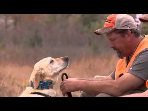 Bird Dog Wars | Pursuit Channel Teaser