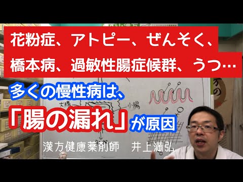 「腸の漏れ」が多くの慢性病をひき起こす【花粉症・アトピー・ぜんそく・橋本病・過敏性腸症候群・うつ・・・】【リーキーガット症候群】