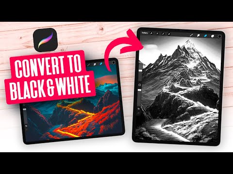 Make An Image Black And White With Procreate