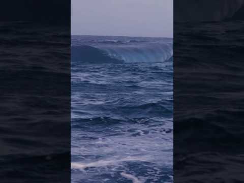 ENTIRE OCEAN FOLDED ON ME IN ONE ROGUE WAVE