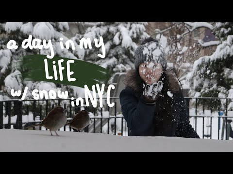 A Snowy Day in NYC Vlog | Rach Mei