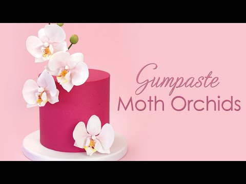 How to make Gumpaste Sugar Moth Orchids - Cake Decorating Tutorial