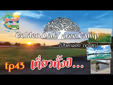 กางเต้นท์ Ep43 #GoldenOakTreeCamp #แค้มปปิ้ง #กางเต้นท์ #โกลเด้นโอ๊คทรีแคมป์ #ปากช่อง #เขาใหญ่