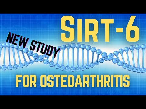 Sirt6 Breakthrough EXPOSED New Hope for Arthritis Sufferers