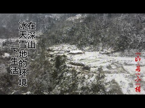 给你栋竹屋，让你像小伙一样在深山冰天雪地的环境生活，你愿意吗【南方小杨】