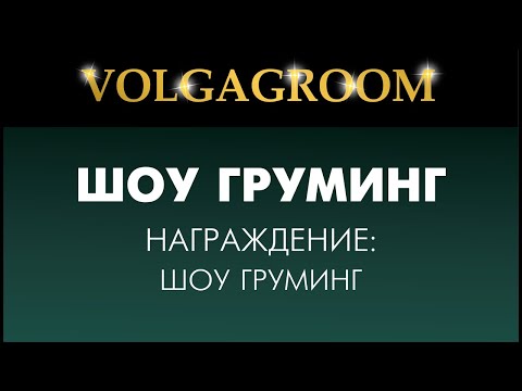 VOLGAGROOM 17.02: награждение шоу груминг