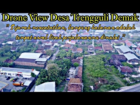 Drone View Desa Trengguli Demak