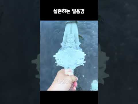 실존하는 얼음검