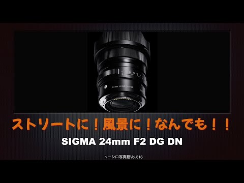 【800円！？】小型軽量、描写、コスパバッチリ。SIGMA 24mm F2 DG DN