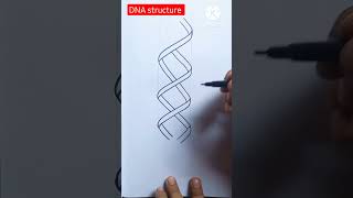 How to draw DNA Easily ✅#shorts #youtubeshorts #viral #biology #drawing #viralvideo #reels