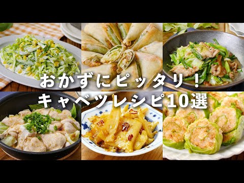 【キャベツレシピ10選】サラダや蒸し料理、炒め物など！主菜から副菜まで♪#キャベツ #おかず #レシピ