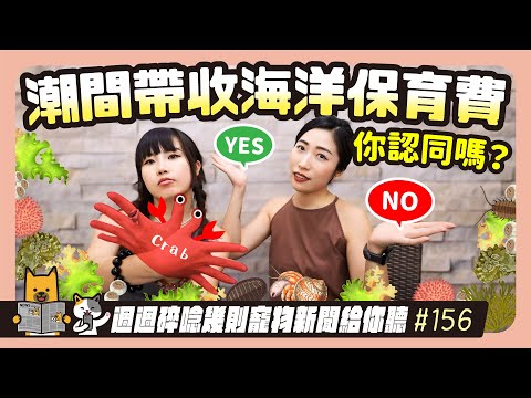 EP. 156 潮間帶收海洋保育費，你認同嗎？｜毛爸媽碎碎唸