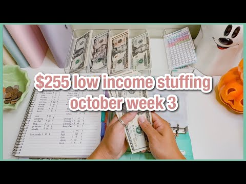 $255 cash envelope & sinking funds stuffing | october week 3 | 23 year old budget