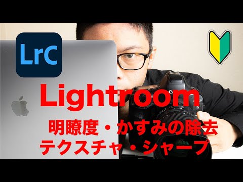 レタッチの基本！【Lightroom初級編】かすみの除去・明瞭度・テクスチャ・シャープ　あなたの写真を変える。