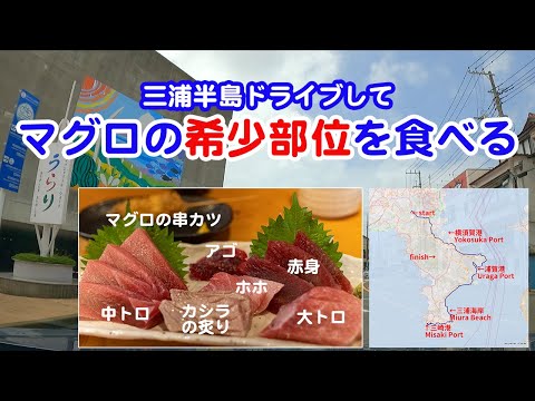 三浦半島の海沿いをドライブして三崎港でマグロの希少部位を食べる SUBARU OUTBACK