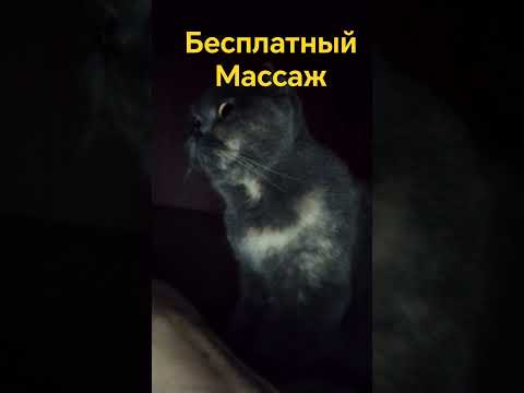 Кому бесплатный массаж😂