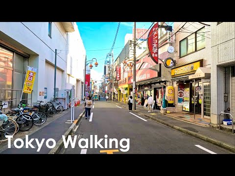 Kumegawa : Walking from afternoon to sunset in Tokyo 4K