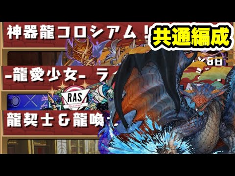 【ズラすだけ‼️】神器龍コロシアム、龍愛少女ライブステージ、龍契士＆龍喚士コロシアム クリア用 共通編成紹介！！【パズル&ドラゴンズ/#パズドラ】