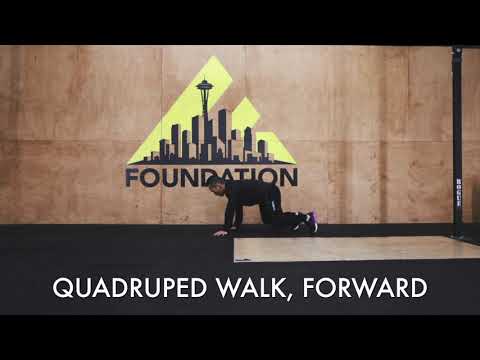 Quadruped Walk