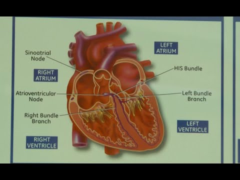 Heart Health Tips From A Cardiologist- Part 1