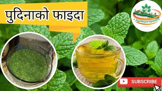 पुदिनाको फाइदा || Advantage of mint || pudina khanu ko faida