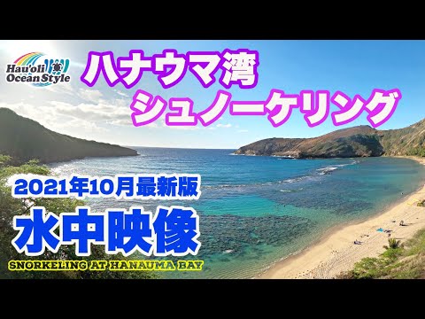 4K【2021年10月最新版】ハナウマ湾シュノーケリングツアー！最新水中映像をお届け！Snorkeling at Hanauma Bay, Oahu