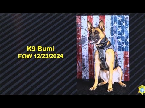 13-year-old charged with shooting, killing K9 Bumi in Richland County