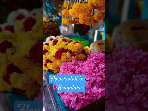 Beautiful flower combo in #bengaluru#mumbaikarprajakta #flowers#garlands#shorts #womenentrepreneurs