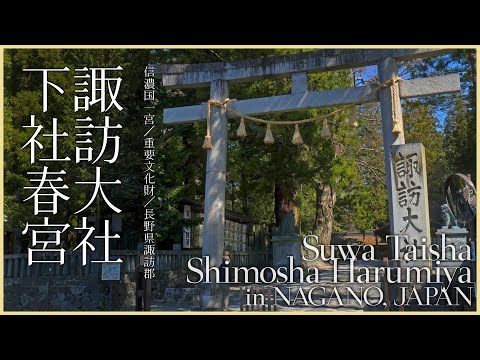 【長野／信濃国一宮】諏訪大社下社春宮／諏訪四社巡り - Suwa Taisha Shimosha Harumiya in NAGANO, JAPAN