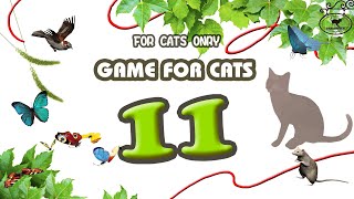 【猫用動画MIX11】蝶・鳥・ひも・ネズミ30分 GAME FOR CATS 11